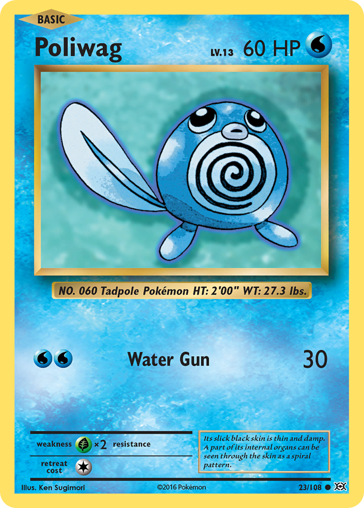 Poliwag (23/108) [XY: Evolutions] | Infinity Cards & Collectibles