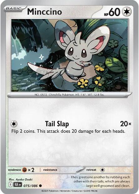 Minccino (075/086) [Scarlet & Violet: Black Bolt] | Infinity Cards & Collectibles