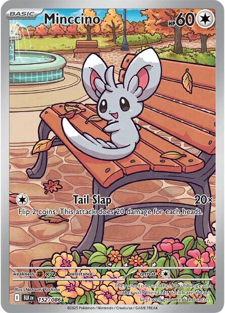 Minccino (152/086) [Scarlet & Violet: Black Bolt] | Infinity Cards & Collectibles