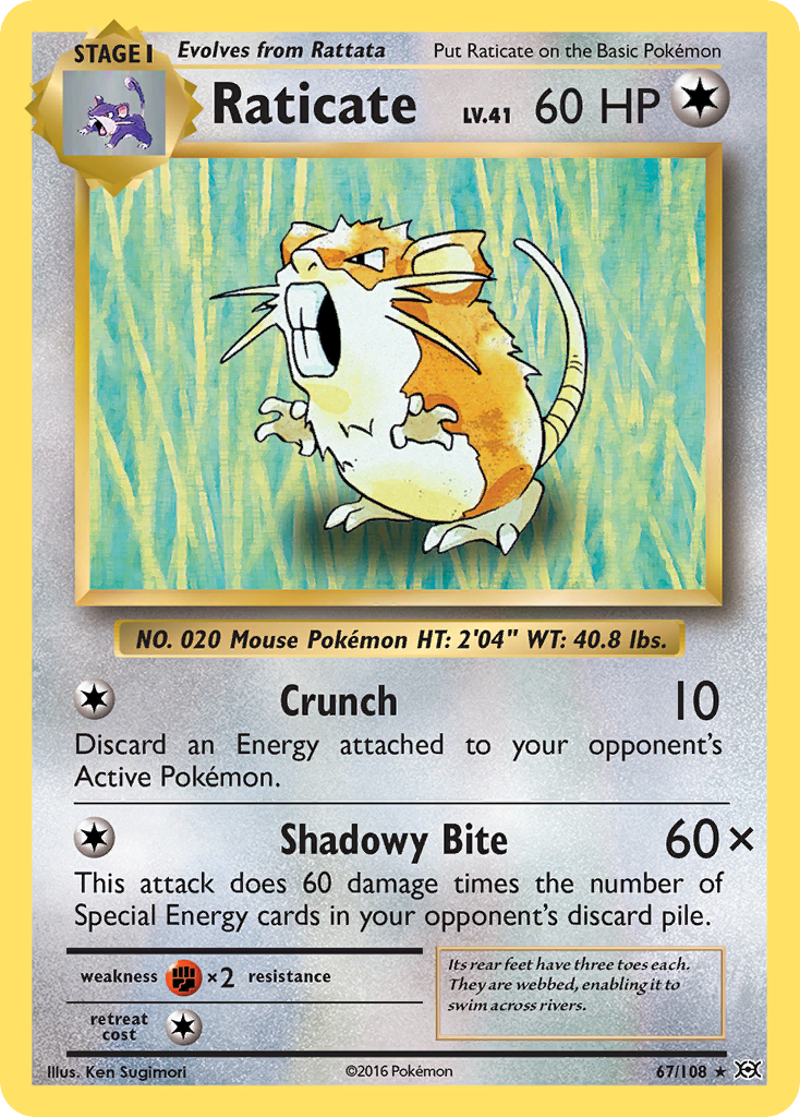 Raticate (67/108) [XY: Evolutions] | Infinity Cards & Collectibles