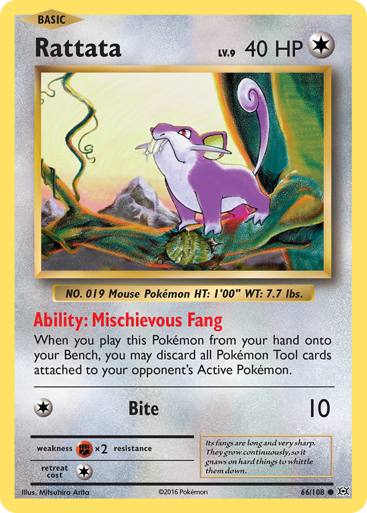 Rattata (66/108) [XY: Evolutions] | Infinity Cards & Collectibles